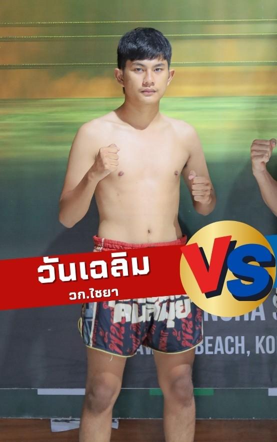 วันเฉลิม วก.ไชยา