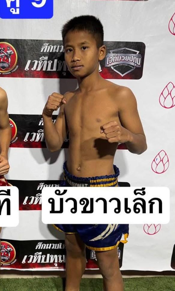 บัวขาวเล็ก บูมิเด็กเซียน