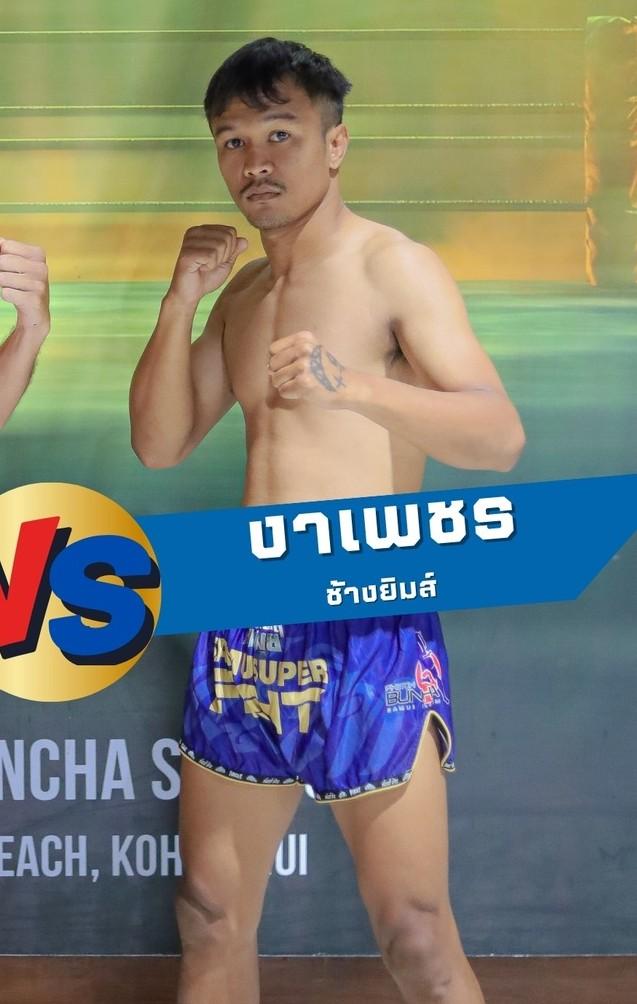 งาเพชร ช้างยิมส์