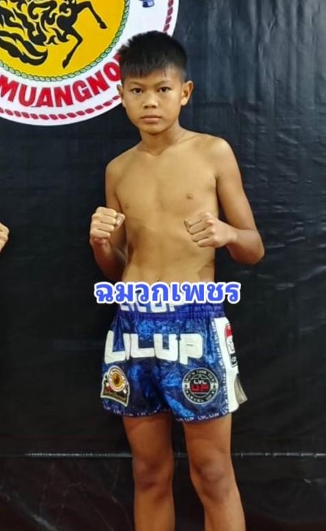 ฉมวกเพชร ส.ธนโชติ